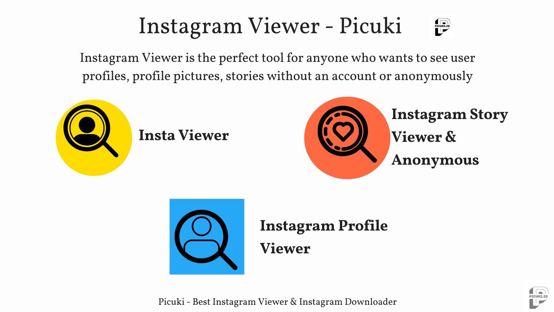 picuki - Visor de Instagram