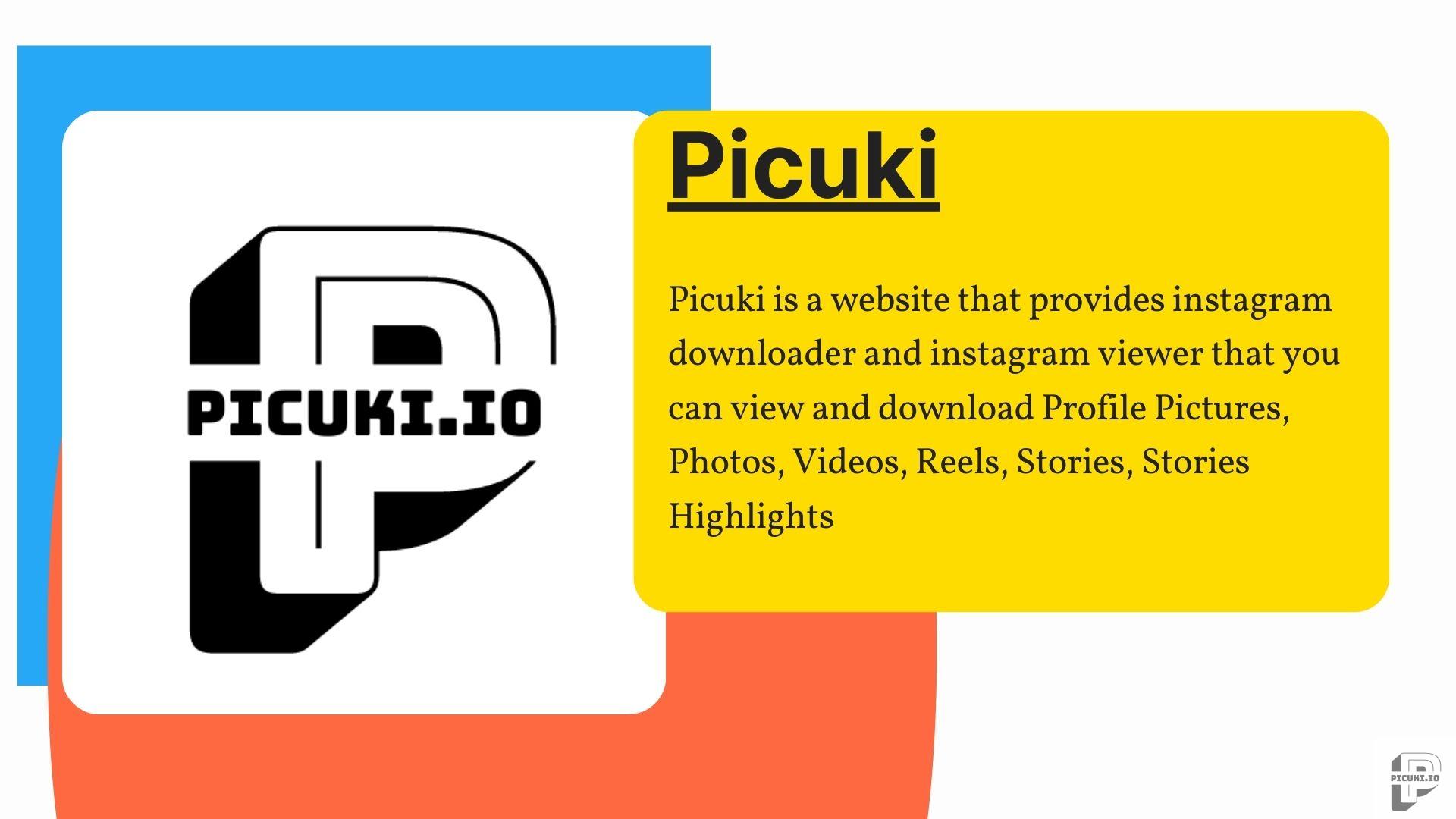 Picuki - Instagram Stories Anonymous Viewer & Downloader